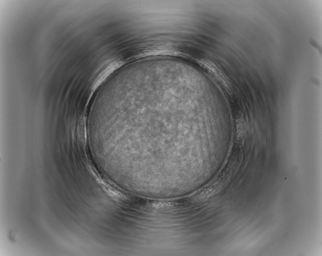 X0000098021274200804111249