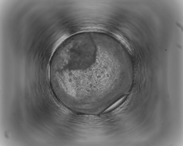 X0000098021275200804111249