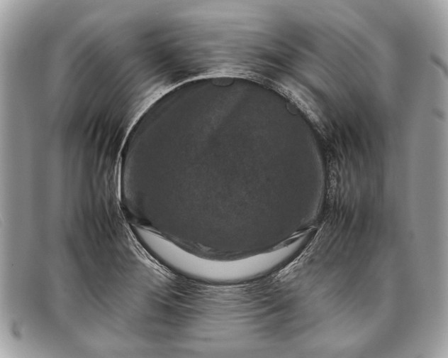 X0000098021276200804111249