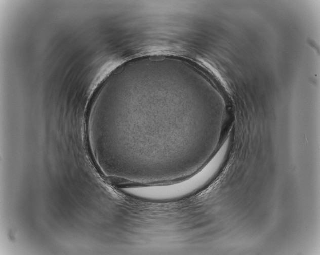 X0000098021277200804111248