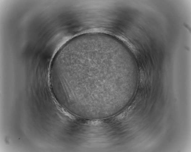 X0000098021278200804111248