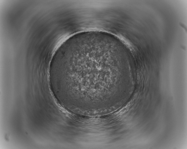 X0000098021279200804111248