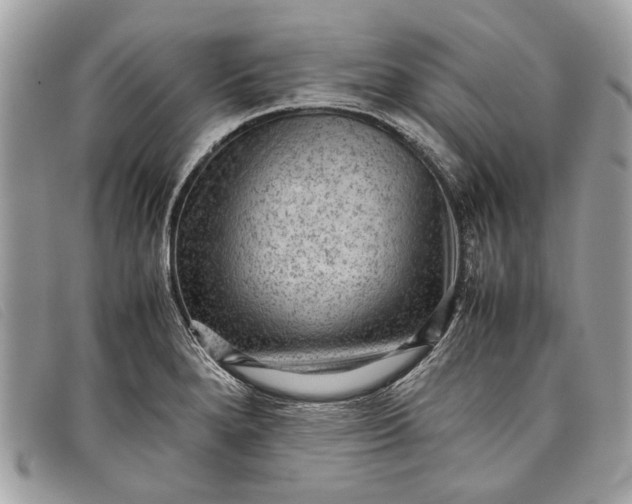 X0000098021280200804111248