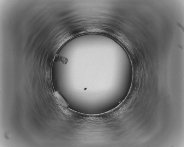 X0000098021281200804111248