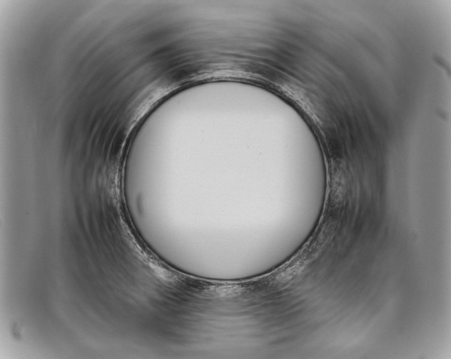 X0000098021282200804111248