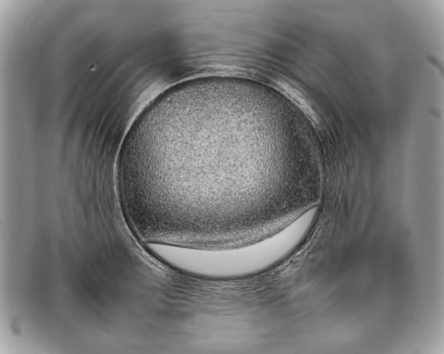 X0000098021283200804111248