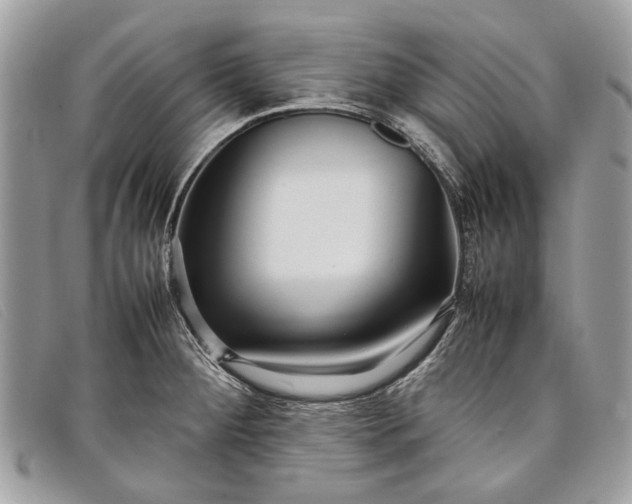 X0000098021284200804111248