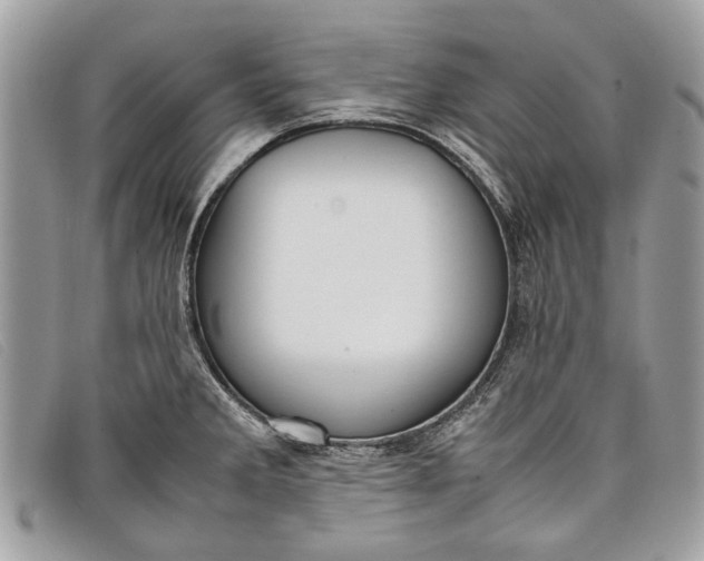 X0000098021285200804111248