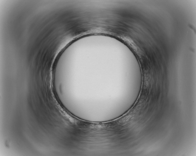 X0000098021286200804111248