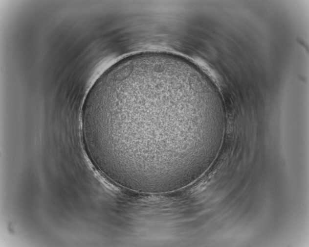 X0000098021287200804111248