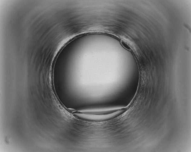 X0000098021288200804111248