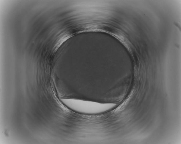 X0000098021289200804111248