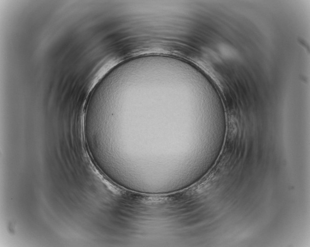 X0000098021290200804111248