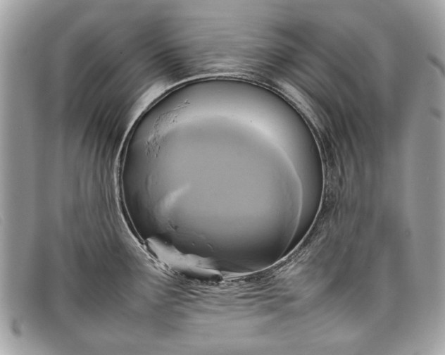 X0000098021291200804111248