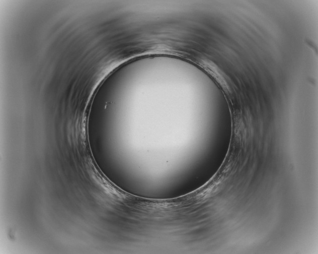 X0000098021292200804111248