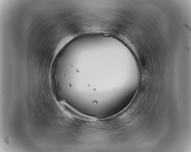 X0000098021293200804111248