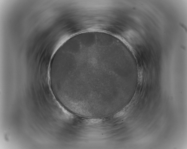 X0000098021294200804111248