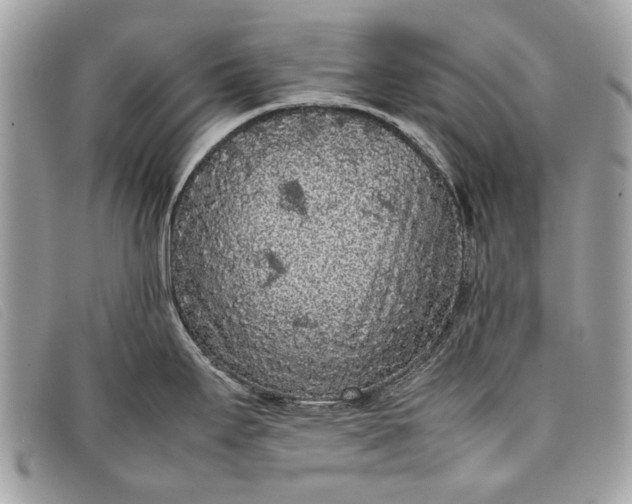 X0000098021295200804111248