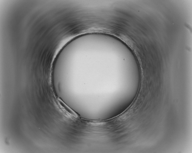 X0000098021296200804111248