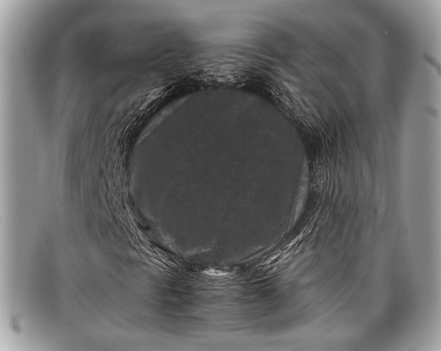 X0000098021297200804111247