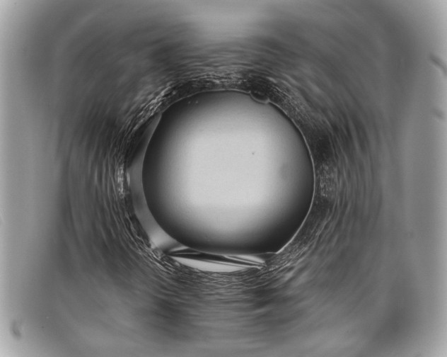 X0000098021298200804111247