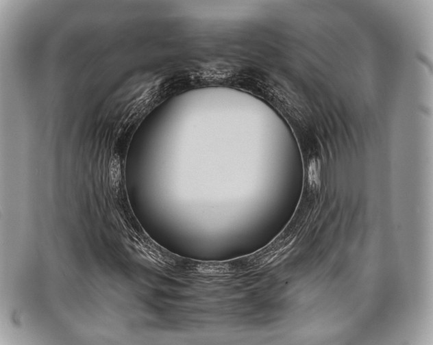 X0000098021299200804111247