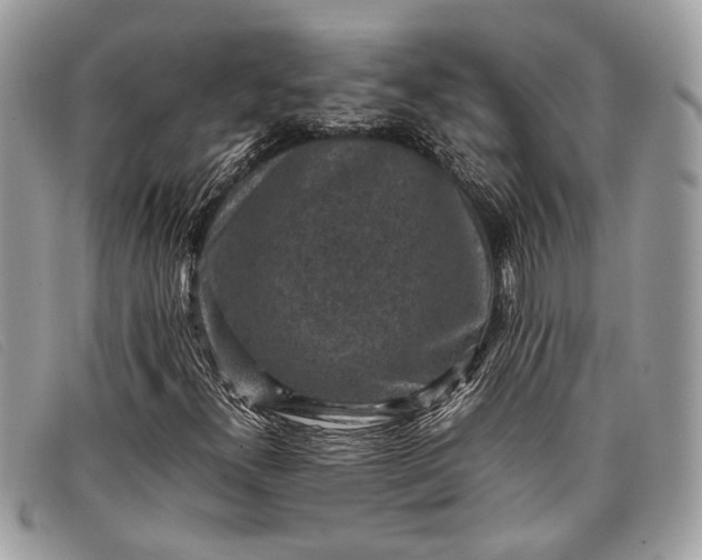 X0000098021300200804111247