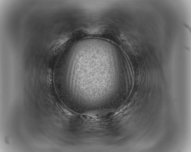 X0000098021301200804111247