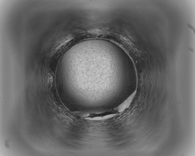 X0000098021302200804111247