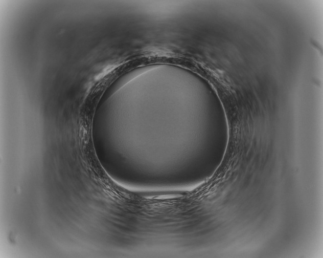 X0000098021303200804111247