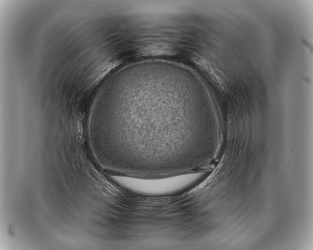 X0000098021305200804111247