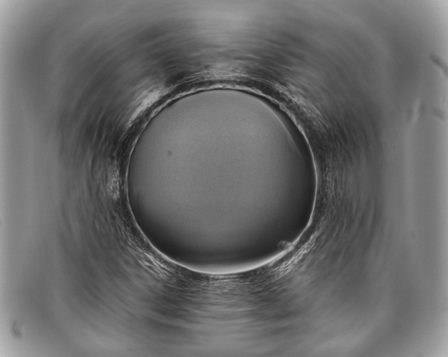 X0000098021306200804111247