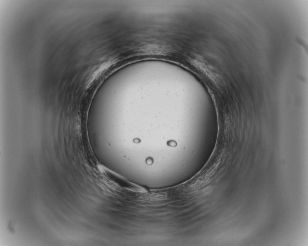 X0000098021307200804111247