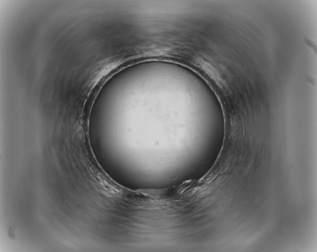 X0000098021308200804111247