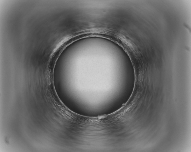 X0000098021310200804111248