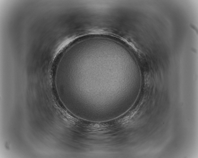 X0000098021311200804111248