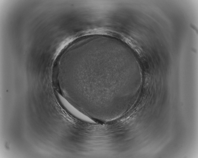 X0000098021312200804111248