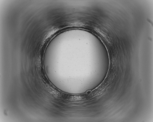 X0000098021315200804111248