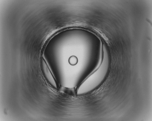 X0000098021316200804111248