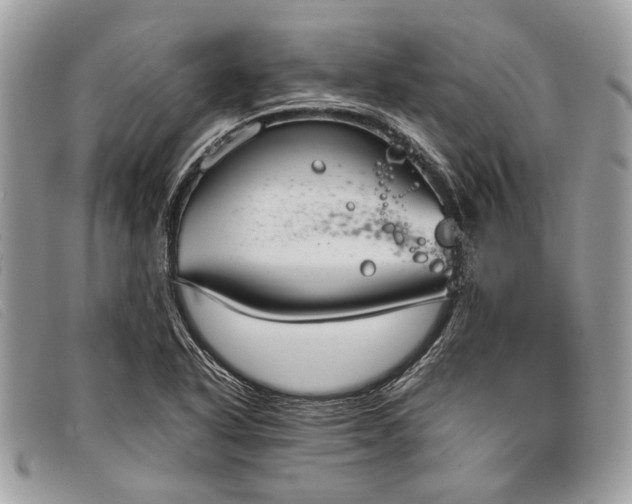 X0000098021318200804111248