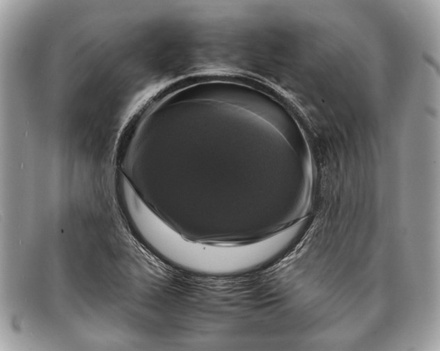 X0000098021319200804111248