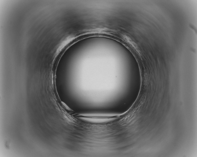 X0000098021320200804111248