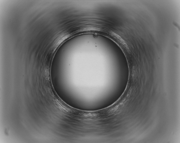 X0000098021321200804111248