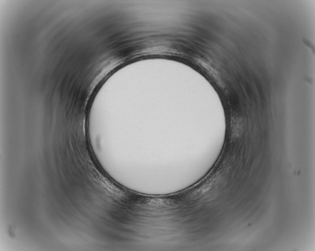 X0000098021322200804111248