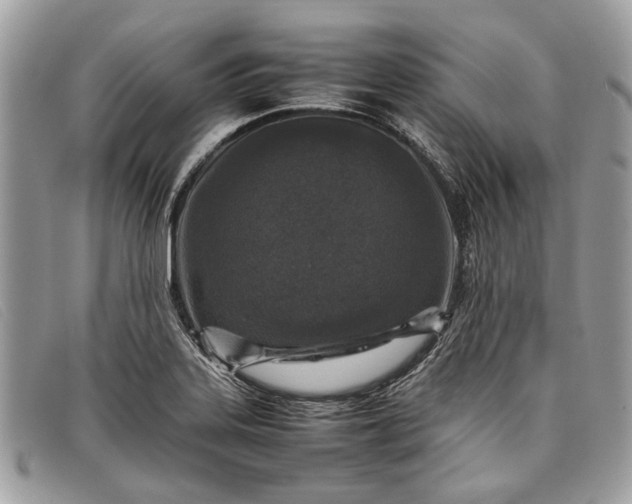 X0000098021323200804111248