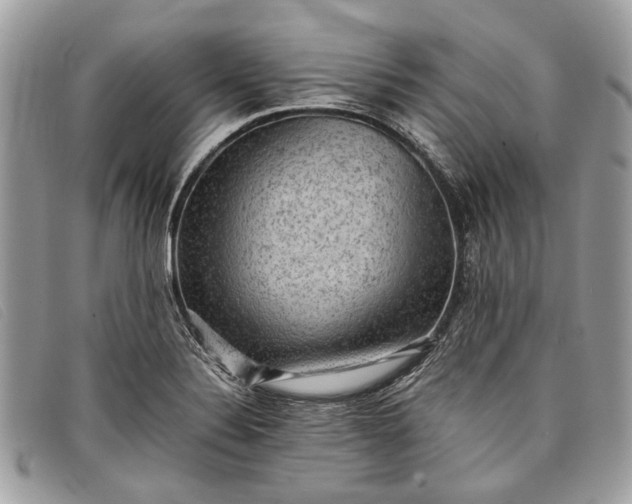 X0000098021324200804111248