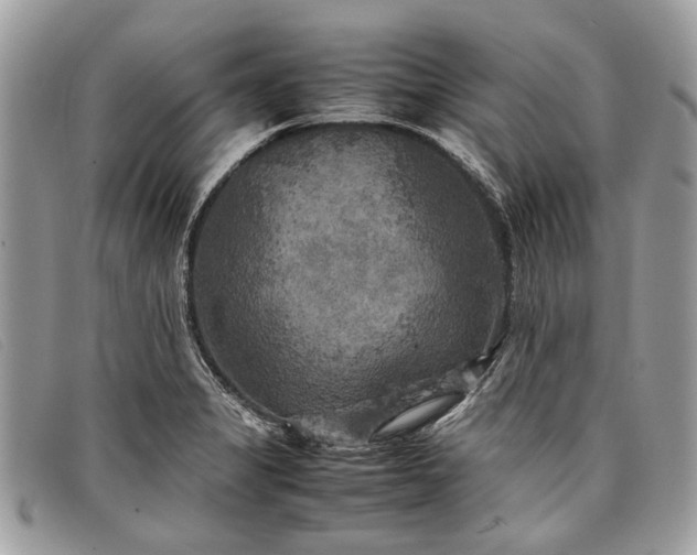 X0000098021325200804111248