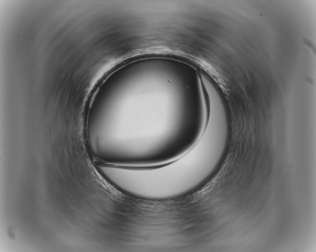 X0000098021326200804111248