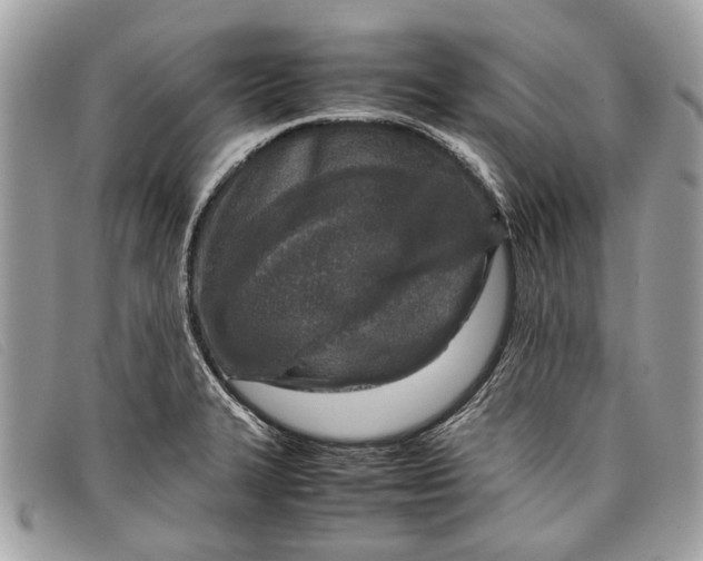 X0000098021327200804111248