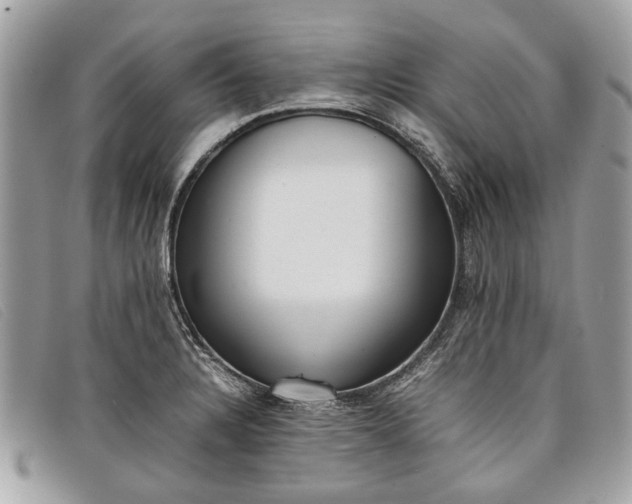 X0000098021328200804111248